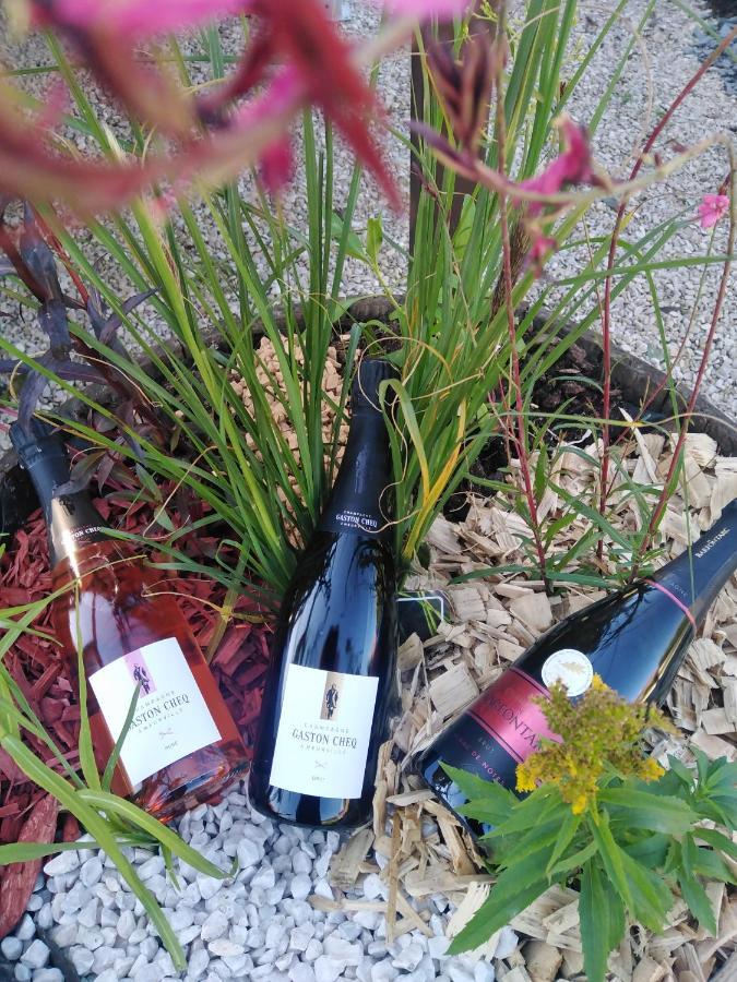 Spoy  L'Echappee Belle En Champagneヴィラ エクステリア 写真
